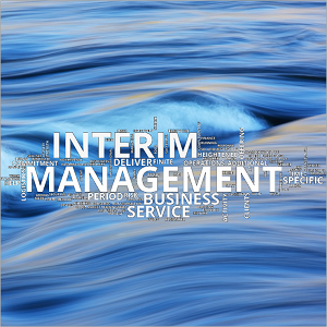 Wordcloud - Interim Management -square 300x300