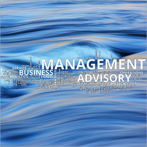 Wordcloud - Management Advisory - square 300x300