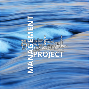 Wordcloud - Project Management - square 300x300